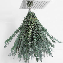 Load image into Gallery viewer, 20 Pcs Eucalyptus for Shower Hanging Dried Eucalyptus Stems 17" Real Eucalyptus 100% Made from Fresh Eucalyptus Leaves,Wedding Decor Home Decor