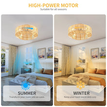 Load image into Gallery viewer, Dextrus 20" Caged Ceiling Fan with Lights and Remote Control, Rustic Farmhouse Flush Mount Design with Reversible DC Motor, 6 Speed Settings